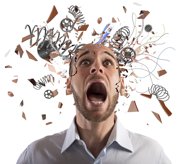 Emotional Stress and the Brain